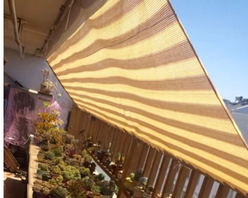 สีทรายหรือสีเบจ