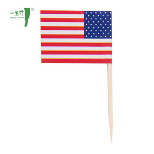Tùy Chỉnh Dùng Một Lần Mini USA Cờ Răng Picks Thân Thiện Với Môi Tre Mini Lebanon Tăm Cờ Với Nước Cờ Thiết Kế Cho Các Bên - Product Image 1