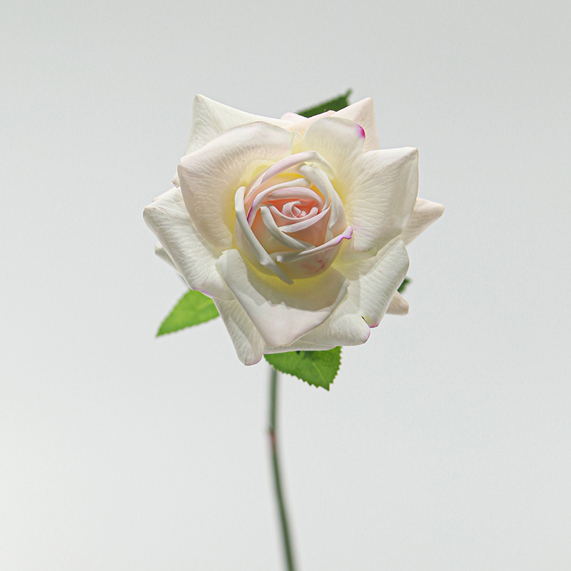 Rosa Baby
