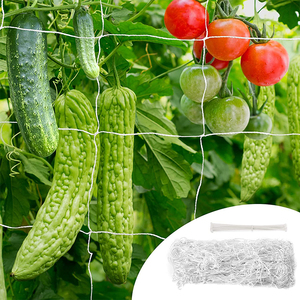 ขายส่งไร่องุ่น Orchad สนับสนุนสุทธิแตงกวาปักหลักสุทธิ/พืชเรียกร้องสุทธิ - Product Image 2