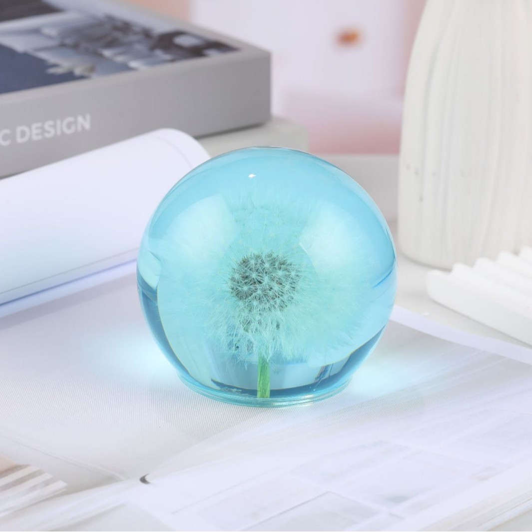 Blue dandelion alone