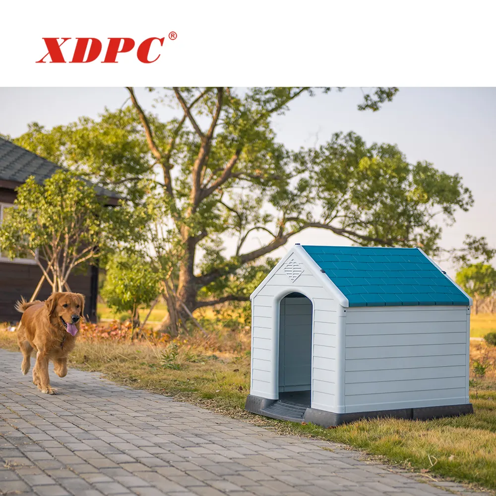 Eenvoudige Ontworpen Milieuvriendelijke Plastic Luxe Hond Kennel Grote Hond Kooi En Huis