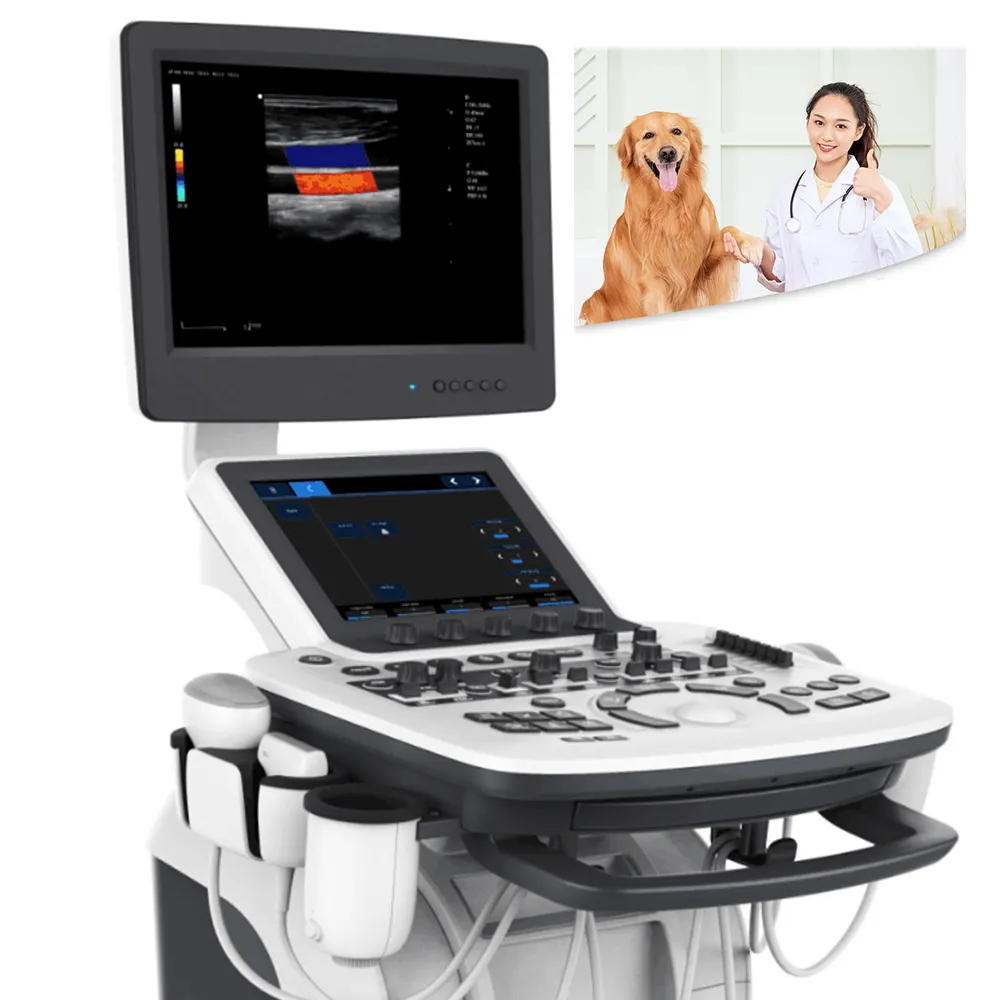 Prezzo della macchina ad ultrasuoni per strumenti veterinari per animali medici per scanner per gravidanza ad ultrasuoni veterinari