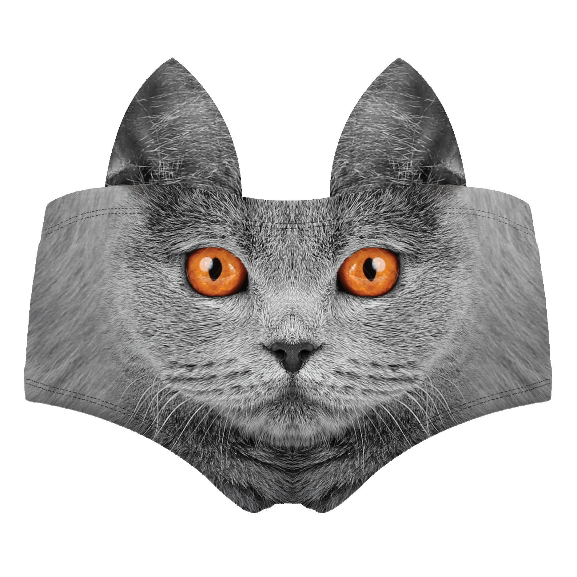 Gatto grigio