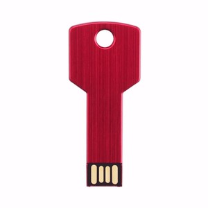 各种容量1gb 2gb 4gb 8gb 16gb 32GB记忆棒银色金属钥匙usb USB2.0 Pendrive - Product Image 6