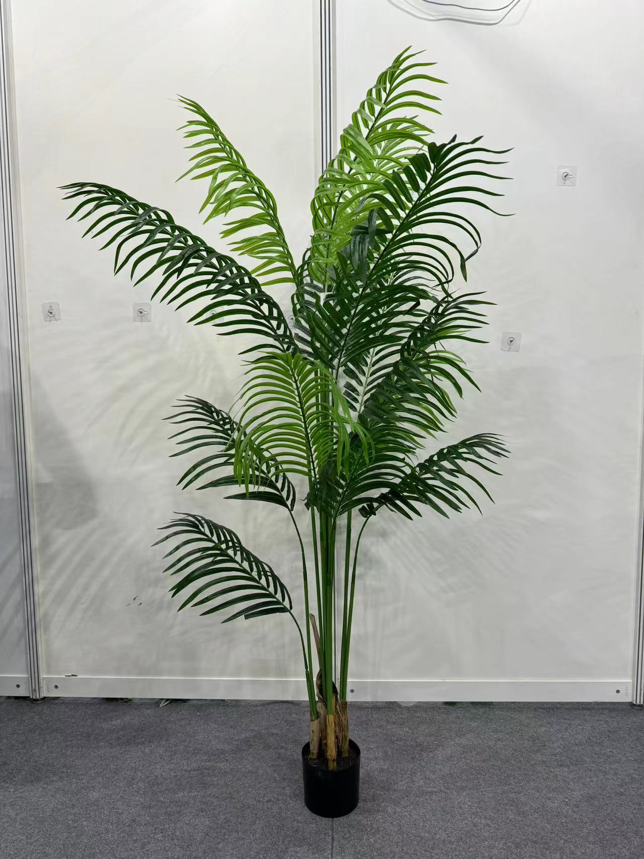 02-170cm