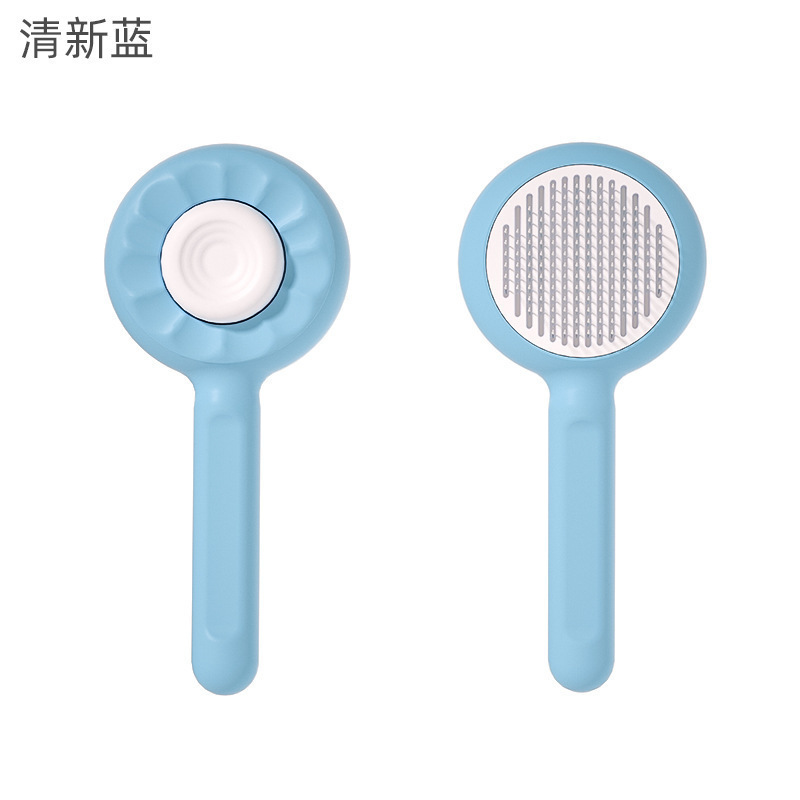 Tournesol (bleu)