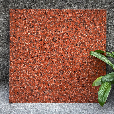600*600 - tianshan red