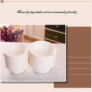 Biyobozunur yemek takımı tek kullanımlık Compostable bambu Pulp <span class=keywords><strong>8oz</strong></span> Bagasse dikdörtgen kase
