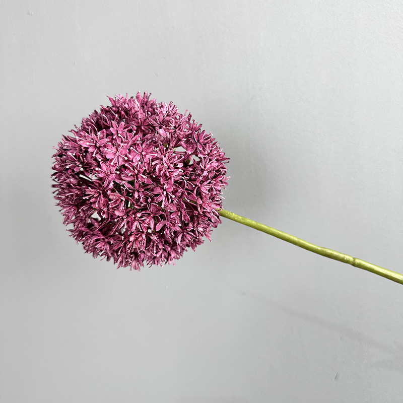 Pourpre