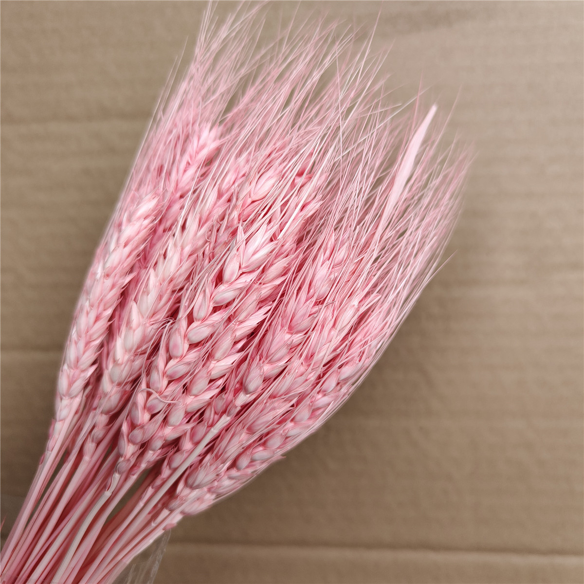สีชมพู