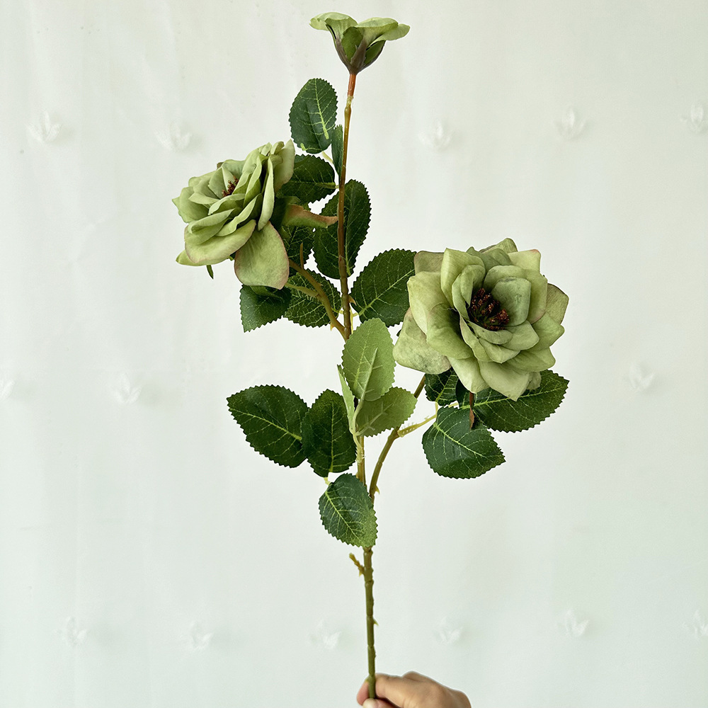 Rosa Merlin de 3 cabezas con color verde.