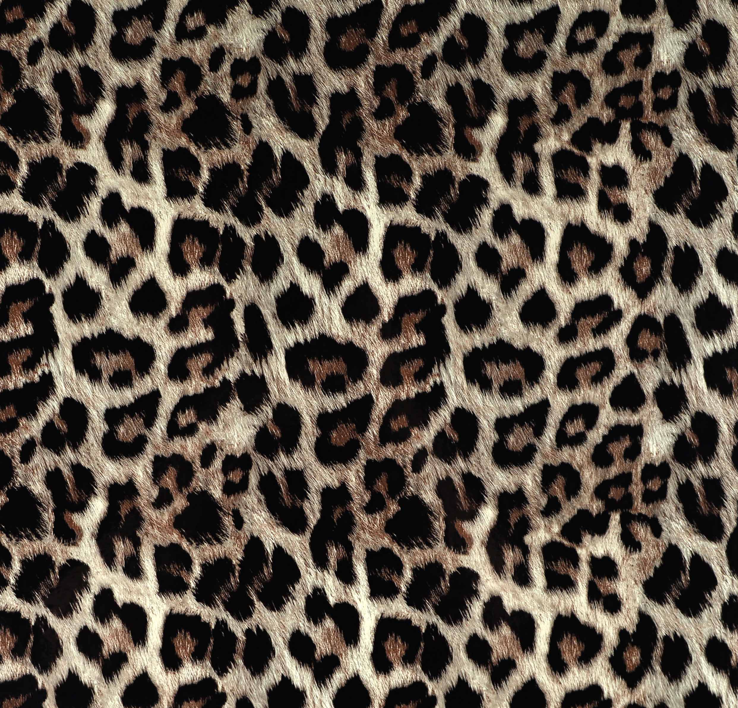 Leopard2