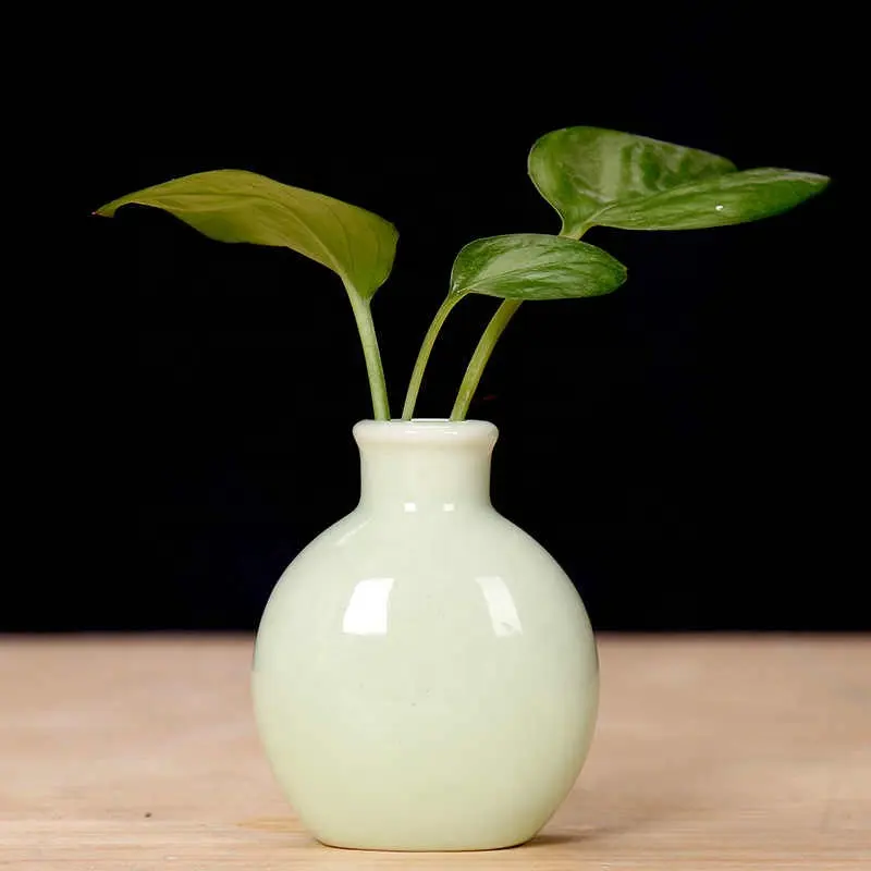 Vaso de planta para bonsai, 1 peça de vaso de cerâmica para decoração de home office, jardim, plantador fofo