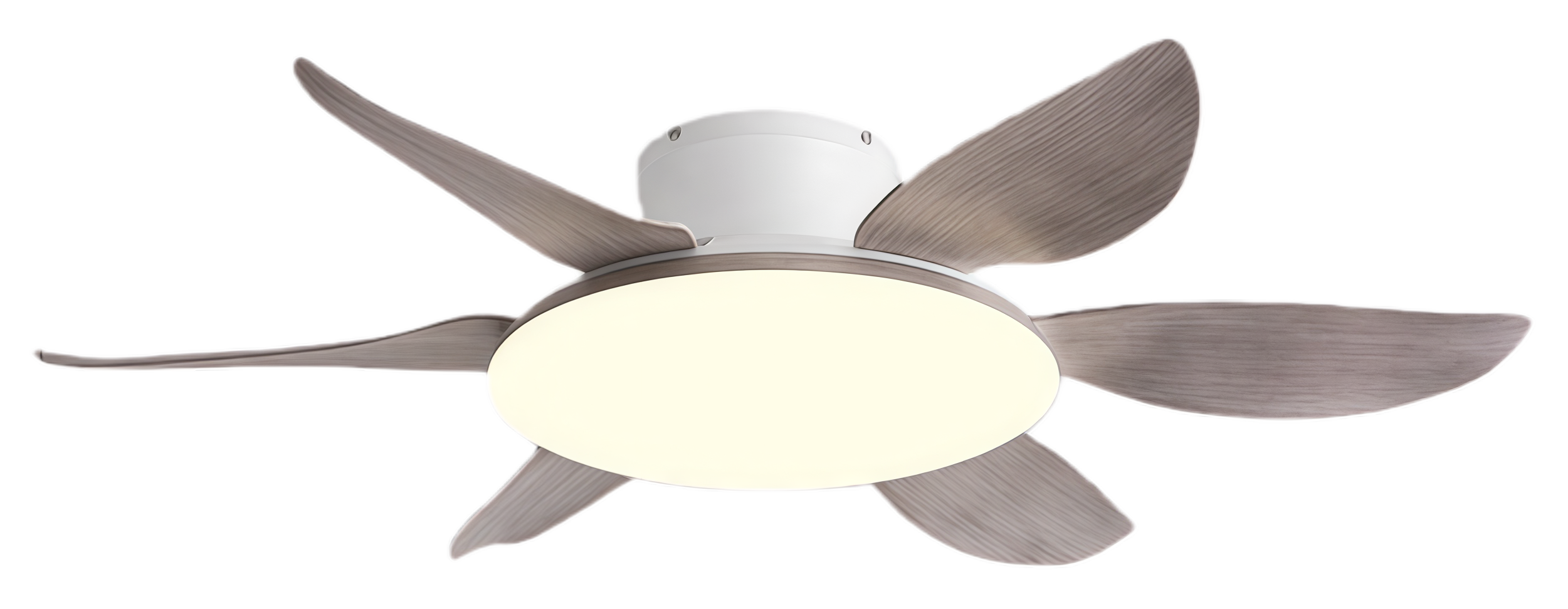 ลายไม้สีขาวเทา