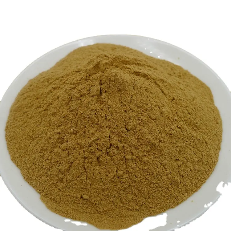 Angelicae Sinensis Radix (Dang Gui) estratto in polvere 20:1 / Angelica sinensis Diels/pianta di erbe prodotti freschi di alta qualità grande st