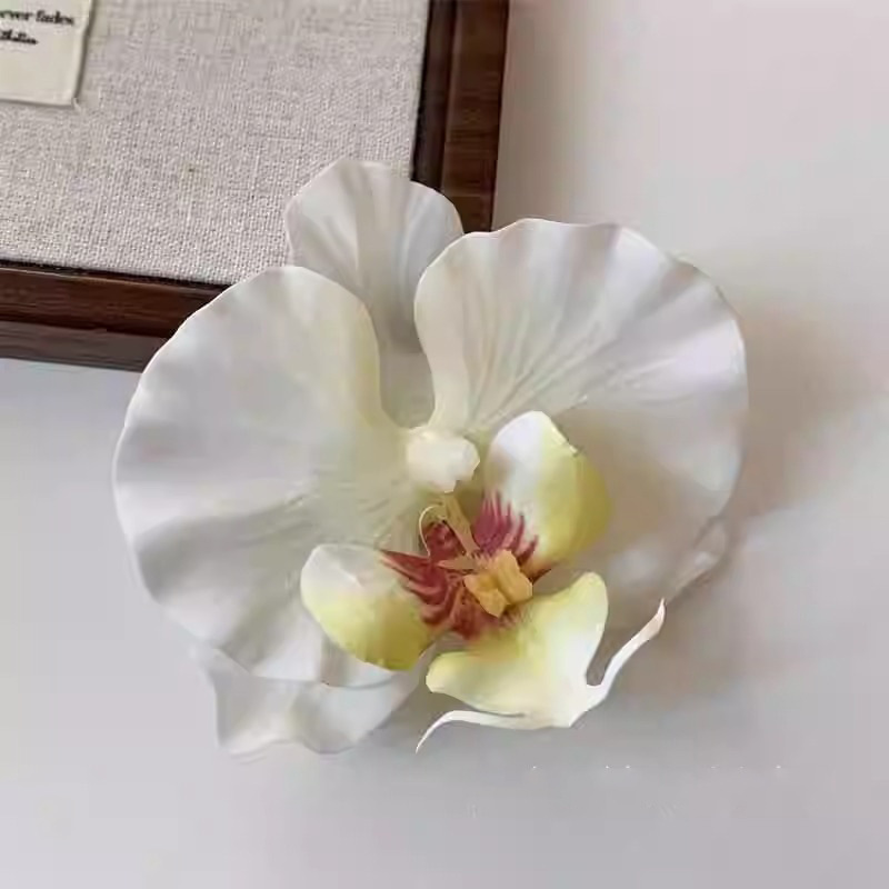 White green core curling phalaenopsis shoe buckle pair-plastic