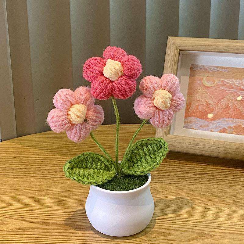Pink puff flower (white pot)