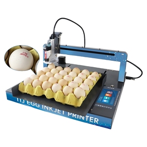 Automatische Datums codierung maschine Eier druck Logo Qr-Code-Maschine Batch-Codier maschine für kleine Unternehmen - Product Image 1