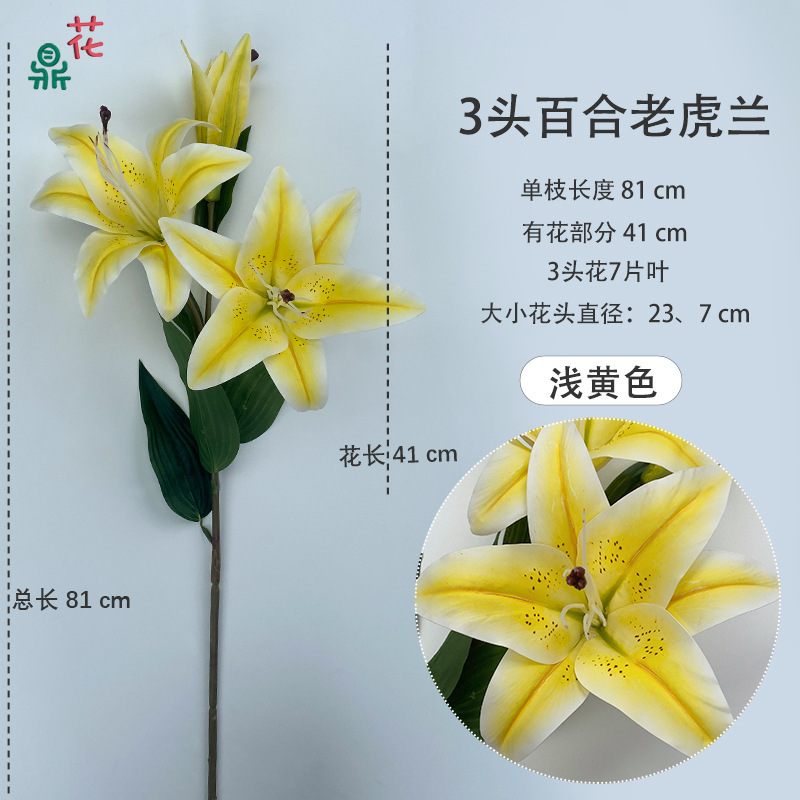Orchidée tigre à 3 têtes, jaune clair