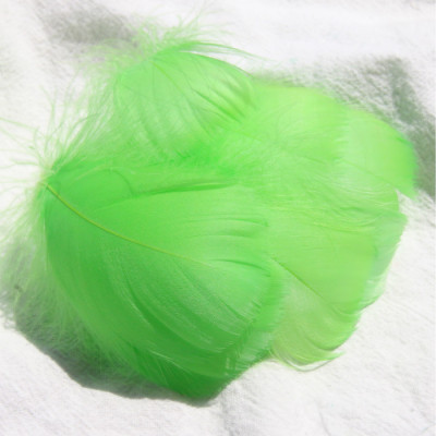 ผลไม้สีสันสดใส สีเขียว