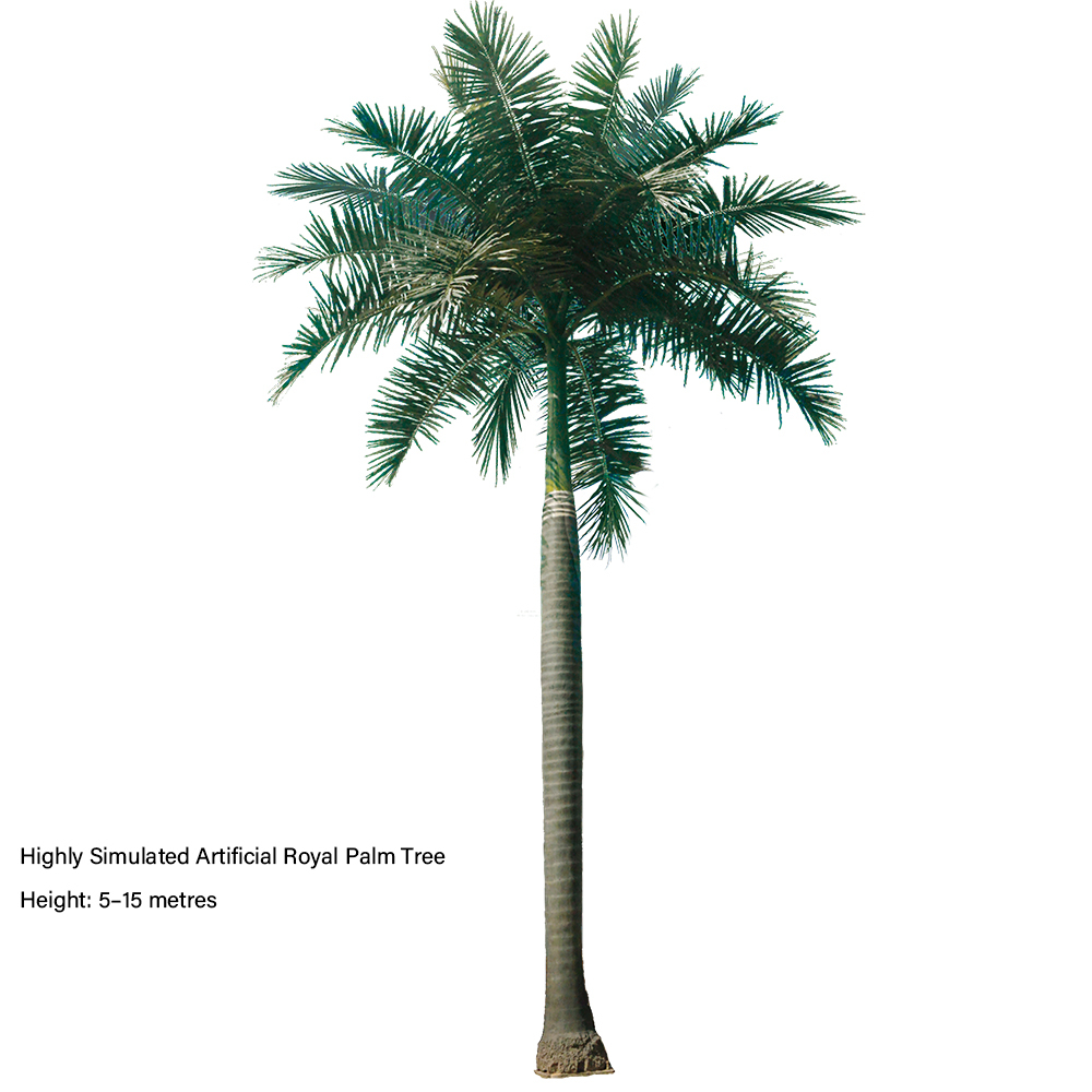Royal Palm Tree