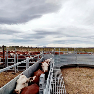 3x3 mạ kẽm hàn dây lưới bán buôn 20 16 chân số lượng lớn chăn nuôi gia súc corral gian hàng tấm - Product Image 6