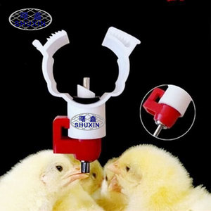 Lồng Gà Mạ Kẽm Để Đặt Gà Mái Kích Thước Lồng Pin - Product Image 4