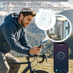 CE RoHS 1/2/3/4ギャング600Wヨーロッパスマートホーム壁スイッチTuya Alexaリモートコントロールライト付きスマートライフアプリMax 10A電流 - Product Image 4