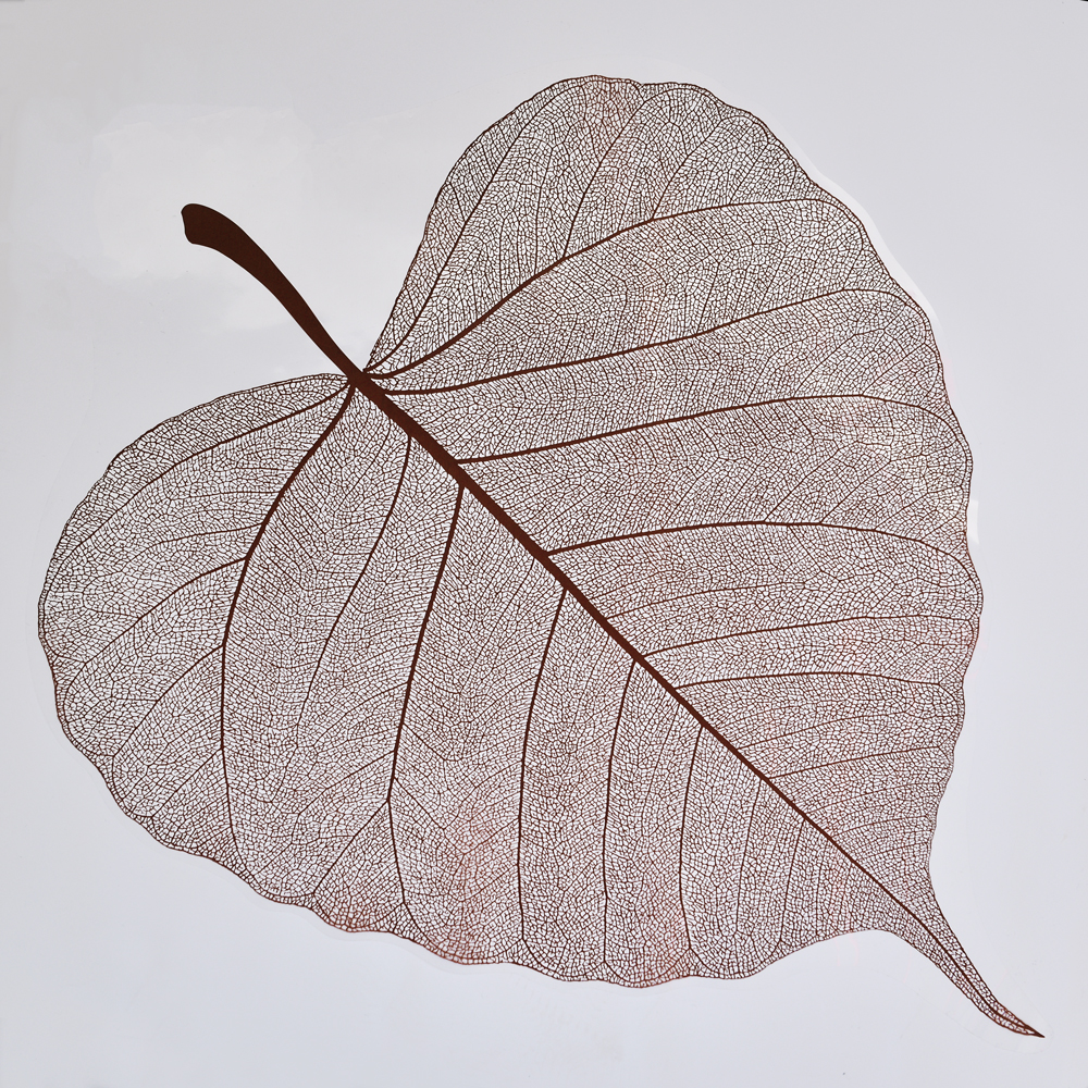 Late autumn