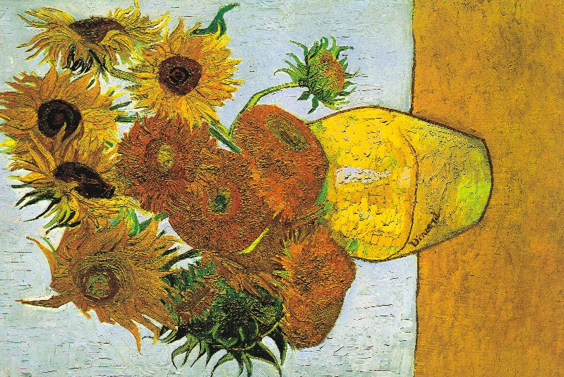 33-102 sunflower