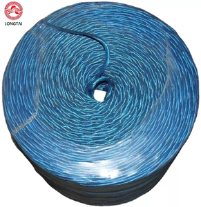 3mm <strong>PP</strong> Film Twine Cord Polypropylene <strong>Strings</strong> with UV - Product Image 2