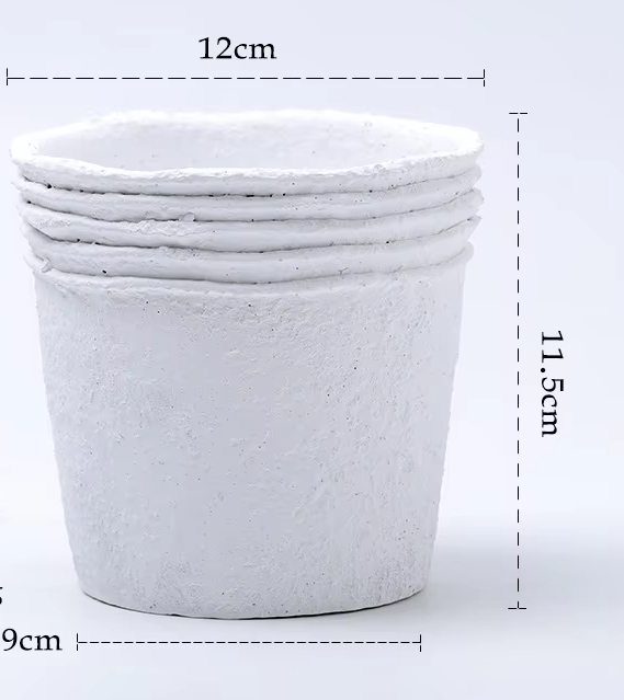Paper Pulp White Medium Size 12cm