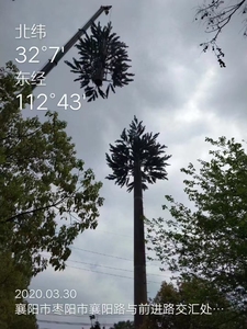 30 mét monopole nhúng nóng mạ kẽm Viễn Thông mast tháp Viễn Thông-Palm-Tree-Tower - Product Image 3