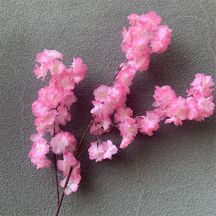 5 #