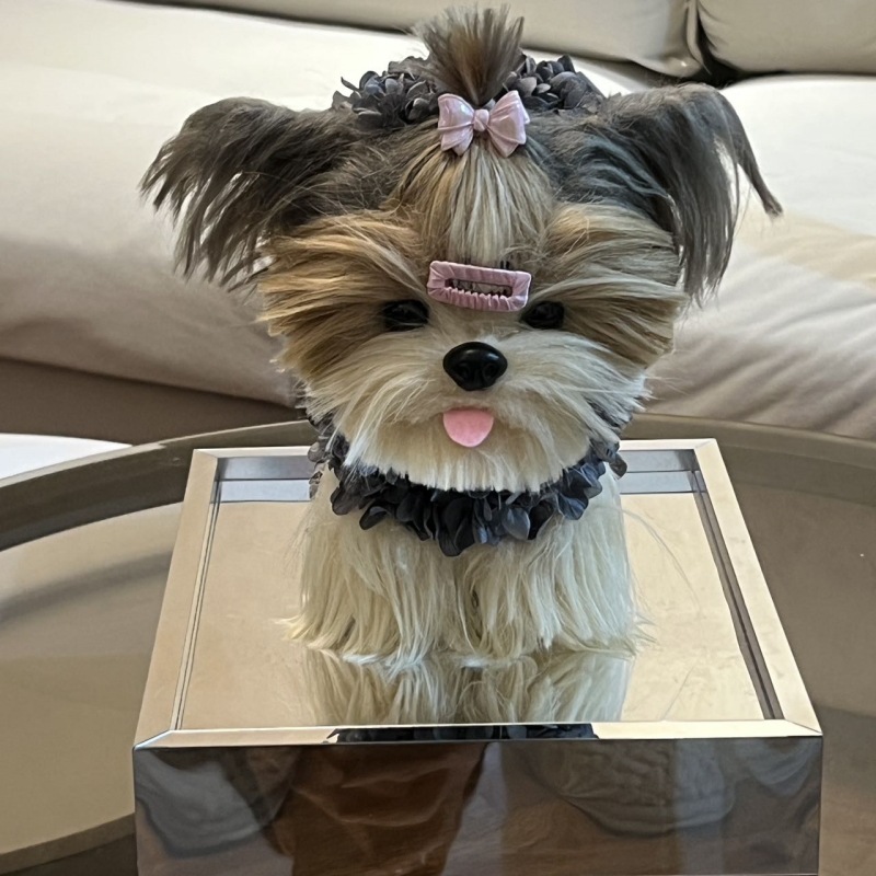 Terrier gris du Yorkshire