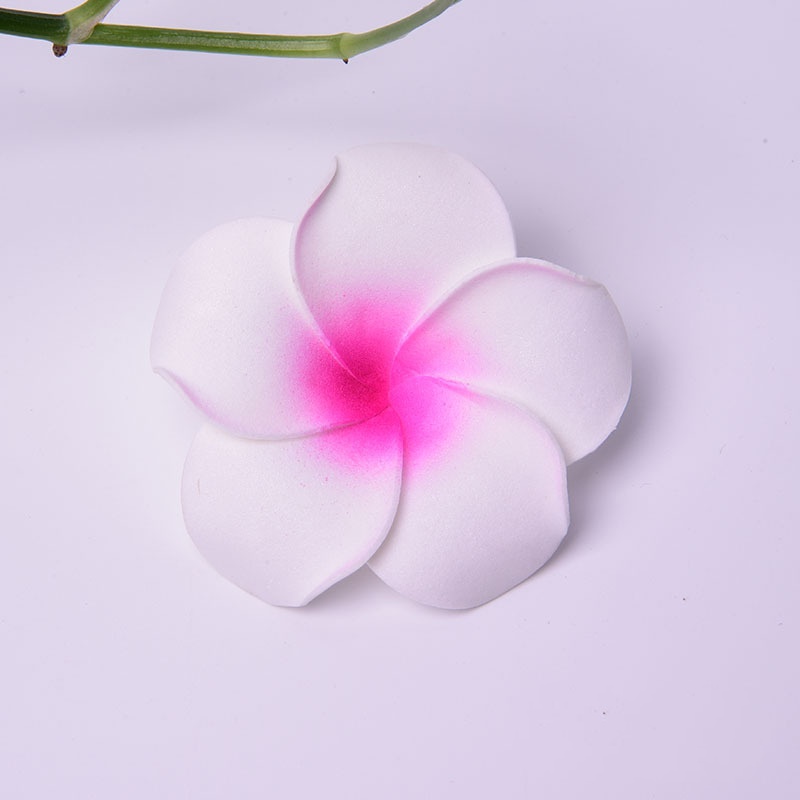 White 4