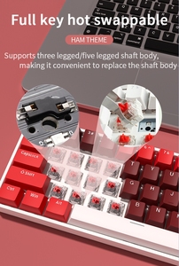 Office 3 Model Gaming <strong>Mechanical</strong> <strong>Keyboard</strong> RGB Hw61 USB Type C Technology Wholesale for <strong>Keyboard</strong> - Product Image 4