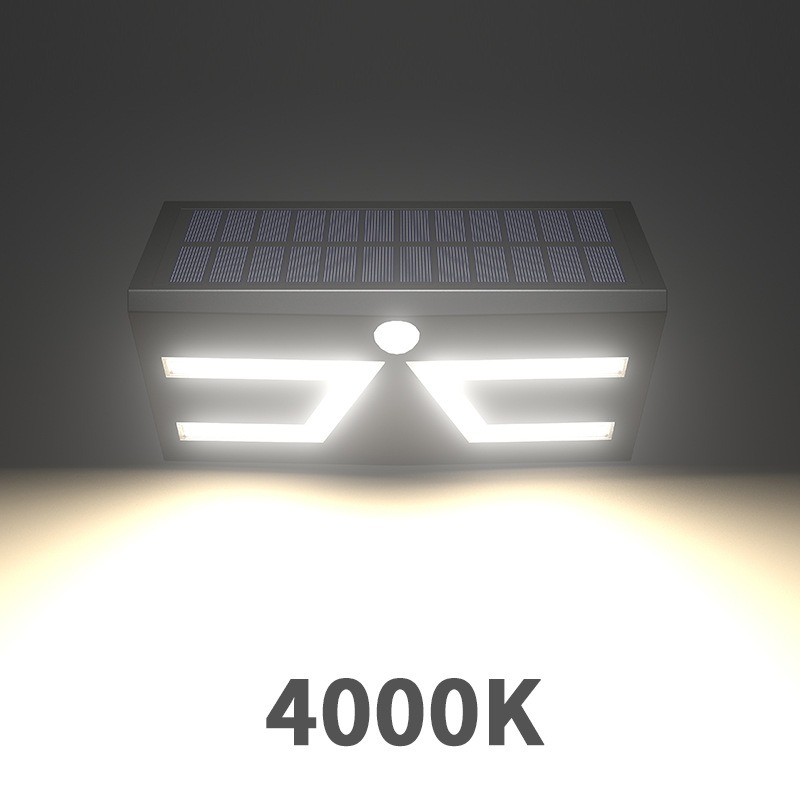 Coquille noire naturellement blanche