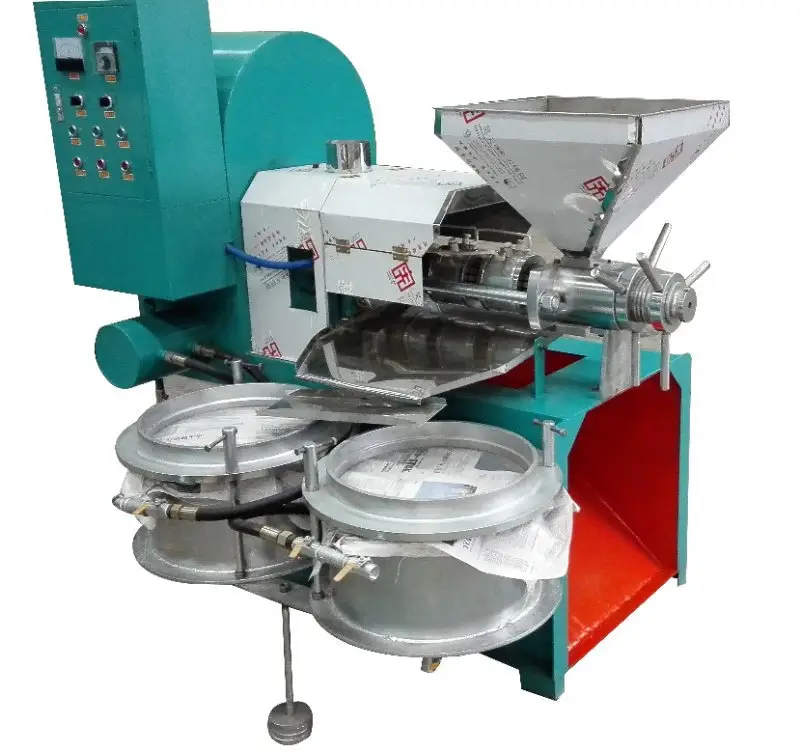 Fully automatic camellia oil palm fruit olive oil press large stainless steel spiral walnut kernel fryer