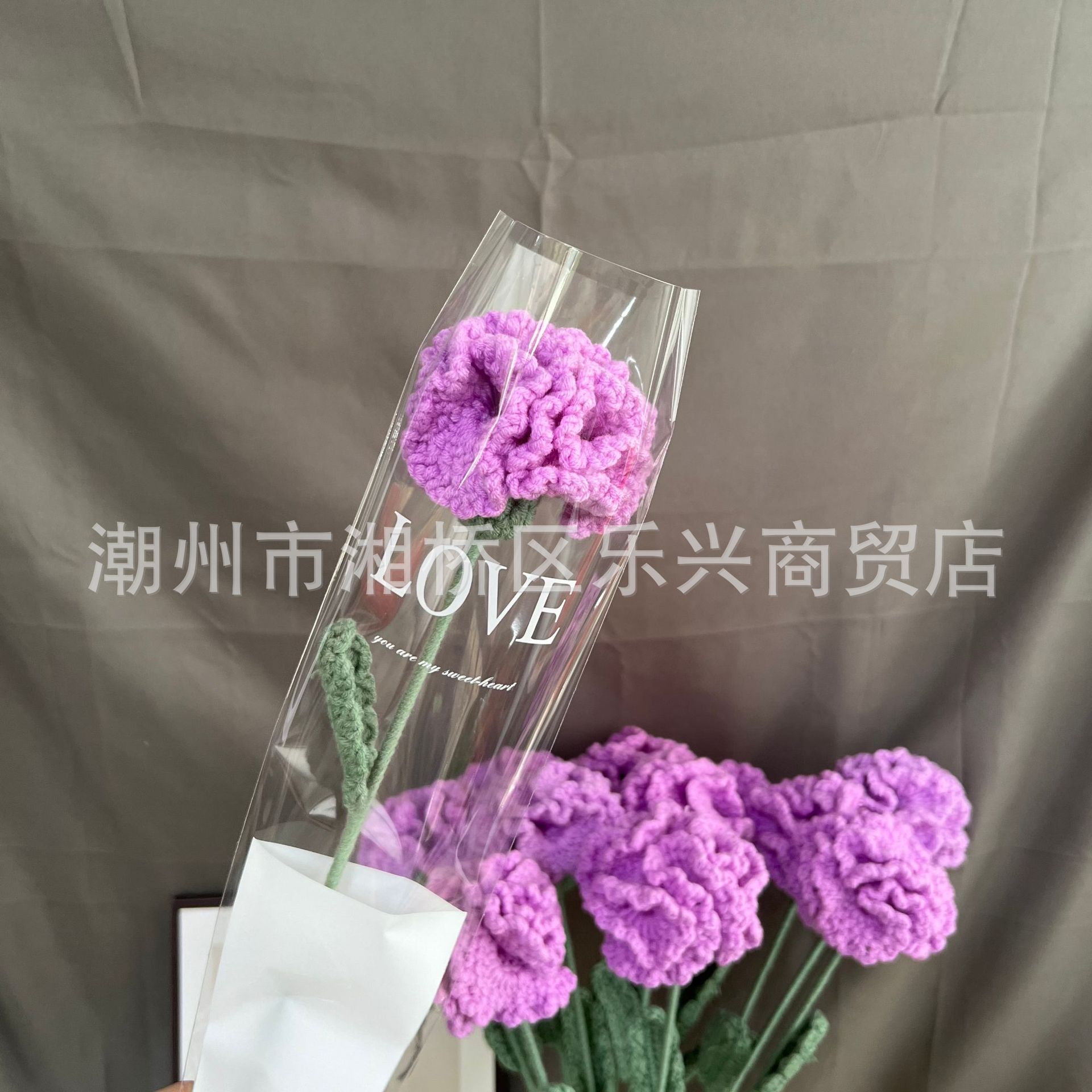 Carnation purple