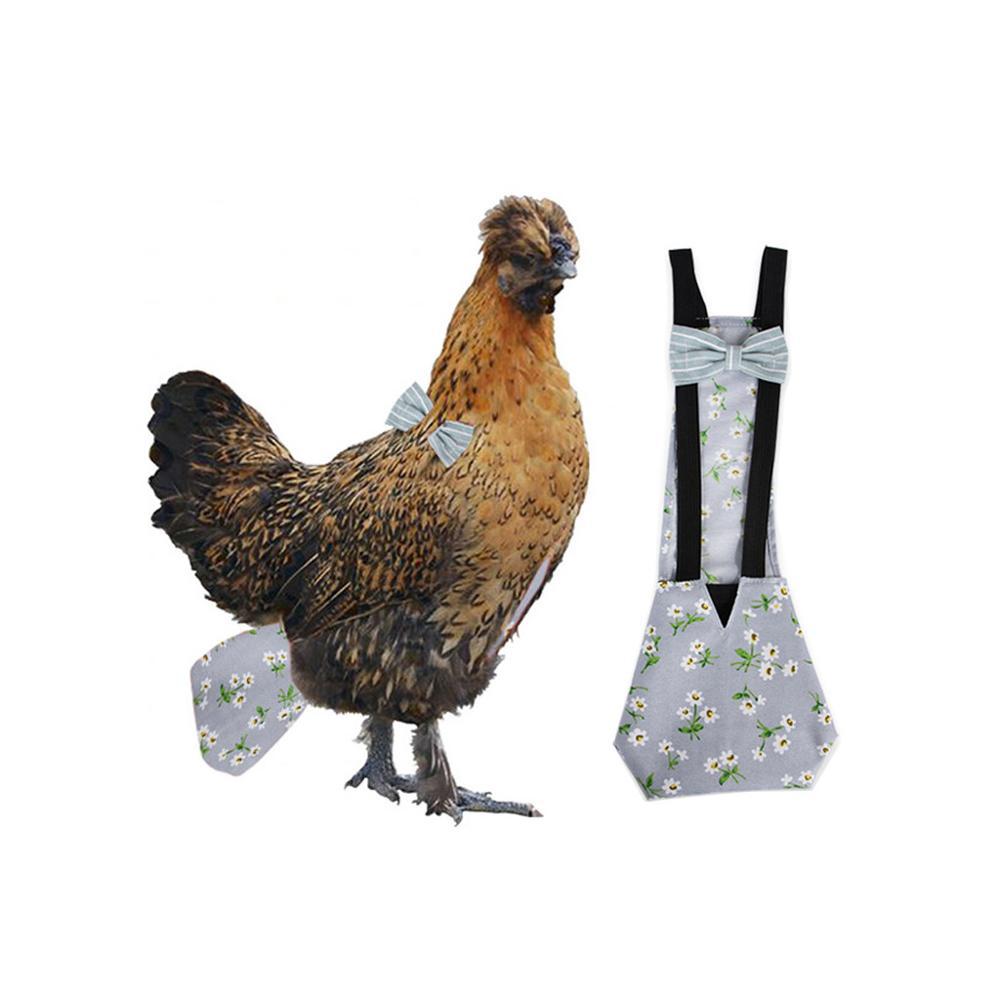Couche de poulet bleu