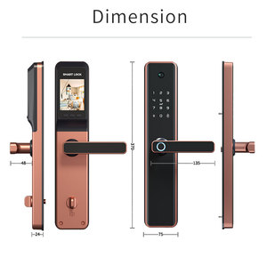 Produttore di Smart Lock con codice impermeabile Multi lingua senza chiave per fotocamera automatica