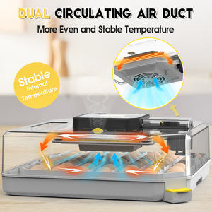 <strong>Digital</strong> <strong>Temperature</strong> <strong>Control</strong> 48 Small Mini Dual Power Chicken Broiler Pigeon Egg Incubator - Product Image 5