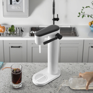 Co2ソーダマシンシャワーヘッド高圧リンザー内蔵パワージェット洗浄インスタントヒーターデスカラー家庭用トゥイーン樹脂用