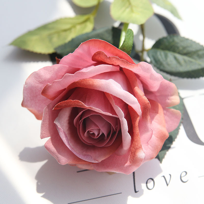 rosa 4