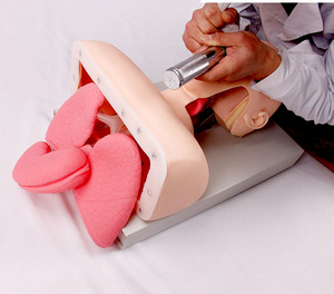 Advanced <strong>Human</strong> Tracheal Intubation Training Model for Medical Education Training - Product Image 6