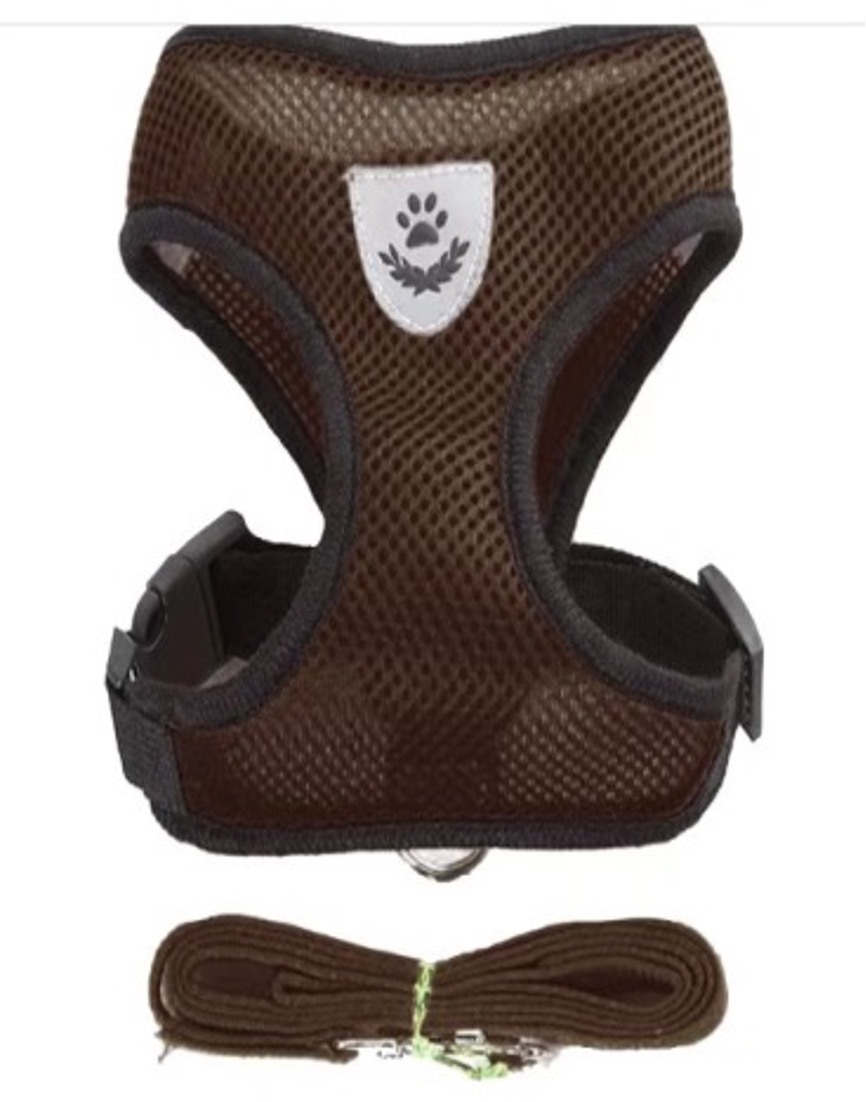 สีน้ำตาล