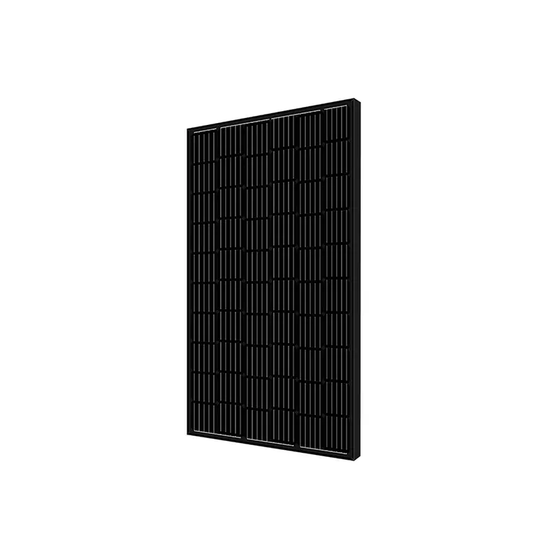 Ad alta Efficienza Tutto Nero pannello solare 150W 250W 300W 310w Mono PV pannello Solare tutto nero solarPanel