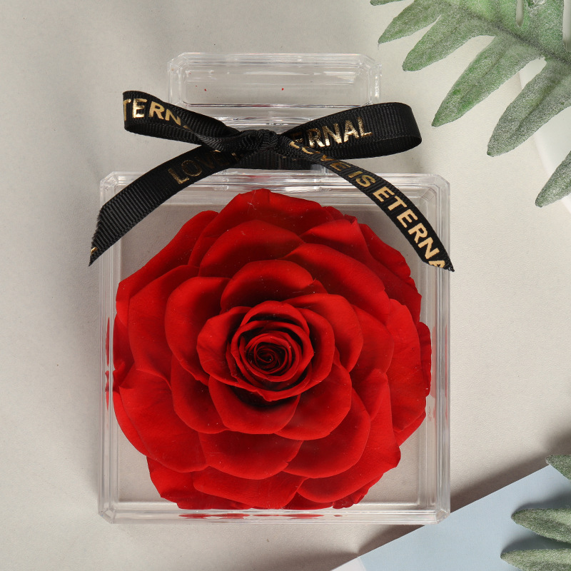 Rose rouge